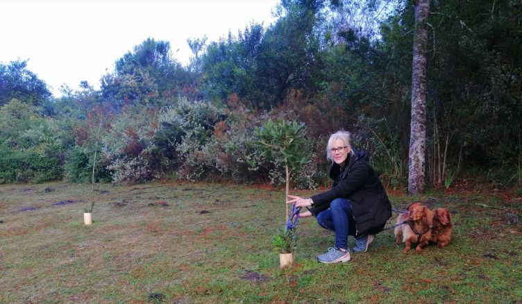 Walfinch home care celebrates carers with 10,000 trees 