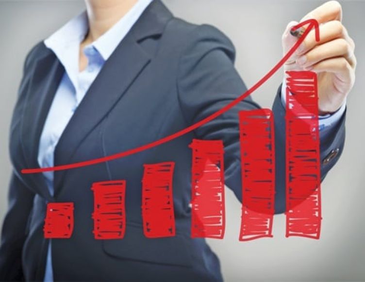 The Financial Performance Of A Franchise