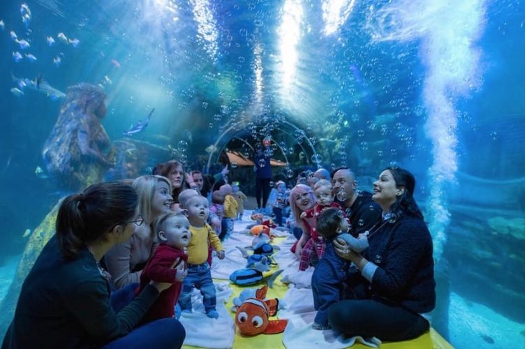Baby Sensory and Sea Life trial UK’s first ‘underwater’ sensory classes