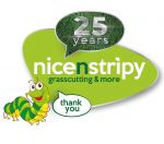 nicenstripy logo