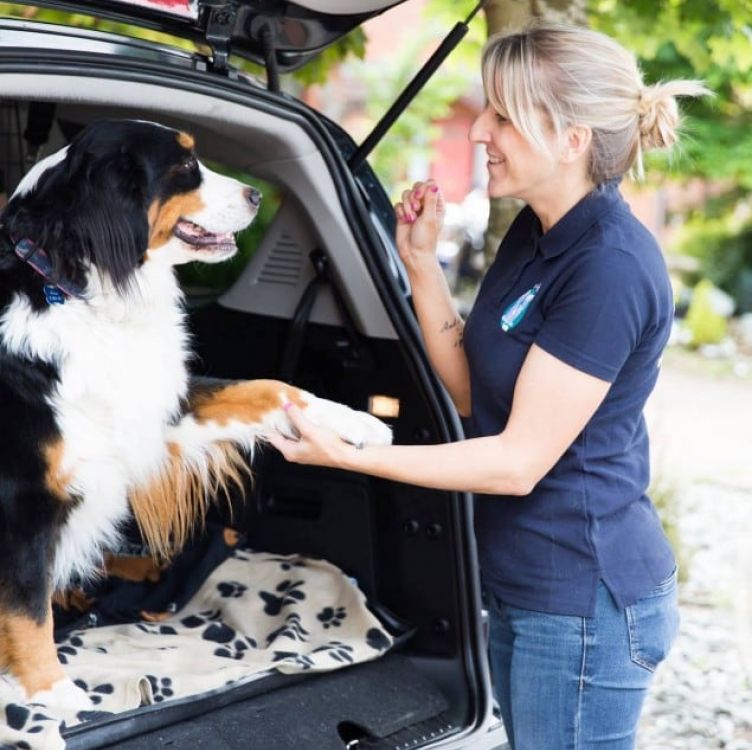 Award winning pet taxi business announces UK expansion plans