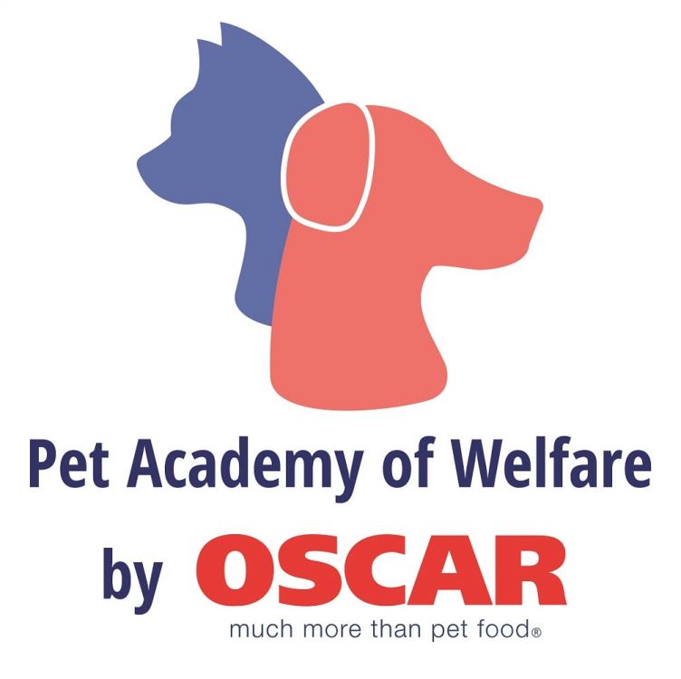 OSCAR Pet Foods deliver exceptional support to franchisees with industry-first Academy of Pet Welfare