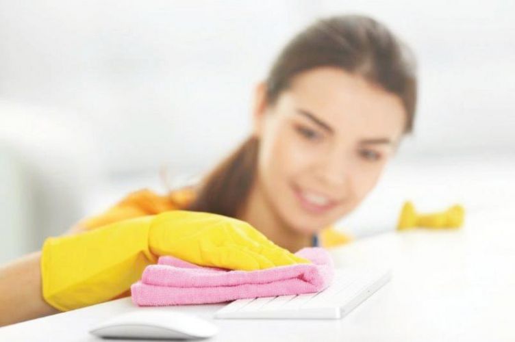 Launch A Cleaning Company With Techclean