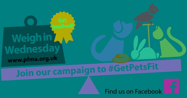 OSCAR Supports ‘Get Pets Fit’ Campaign