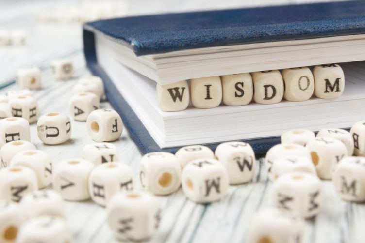 Where Should New Franchisees Look For Advice?