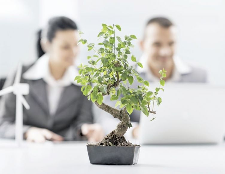How to improve productivity through nature in the workplace