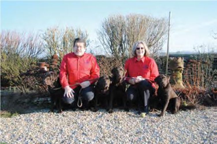 Pet Food Franchisees Enjoy A Decade Of Success