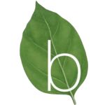 Basilico logo
