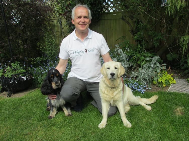 Wagging Tails franchisee: “I decided this was not a disaster, but an opportunity to do something different”