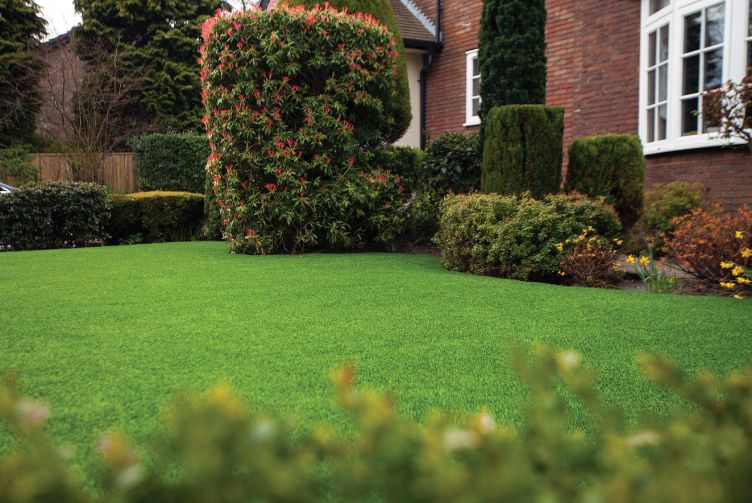“Profit from the growth in popularity of artificial grass”
