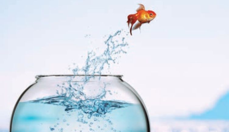 Are there any sectors in franchising with untapped opportunities?