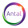 Antal International Network