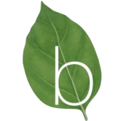 Basilico Logo