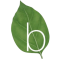 Basilico logo