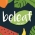 Beleaf Juice Bar Logo