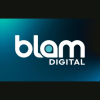 Blam Digital Franchise