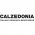 Calzedonia Logo