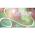 Silverdaze Logo
