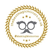 The Best Magic Mirrors Franchise Logo