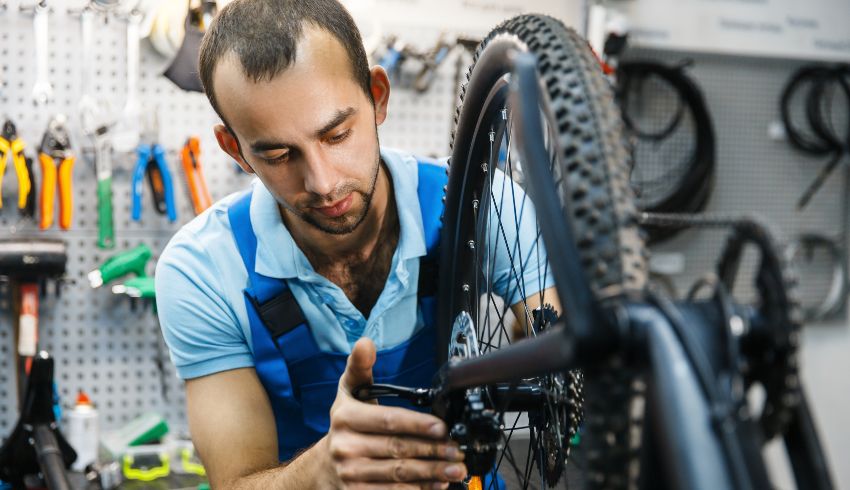 Bike franchise cost online