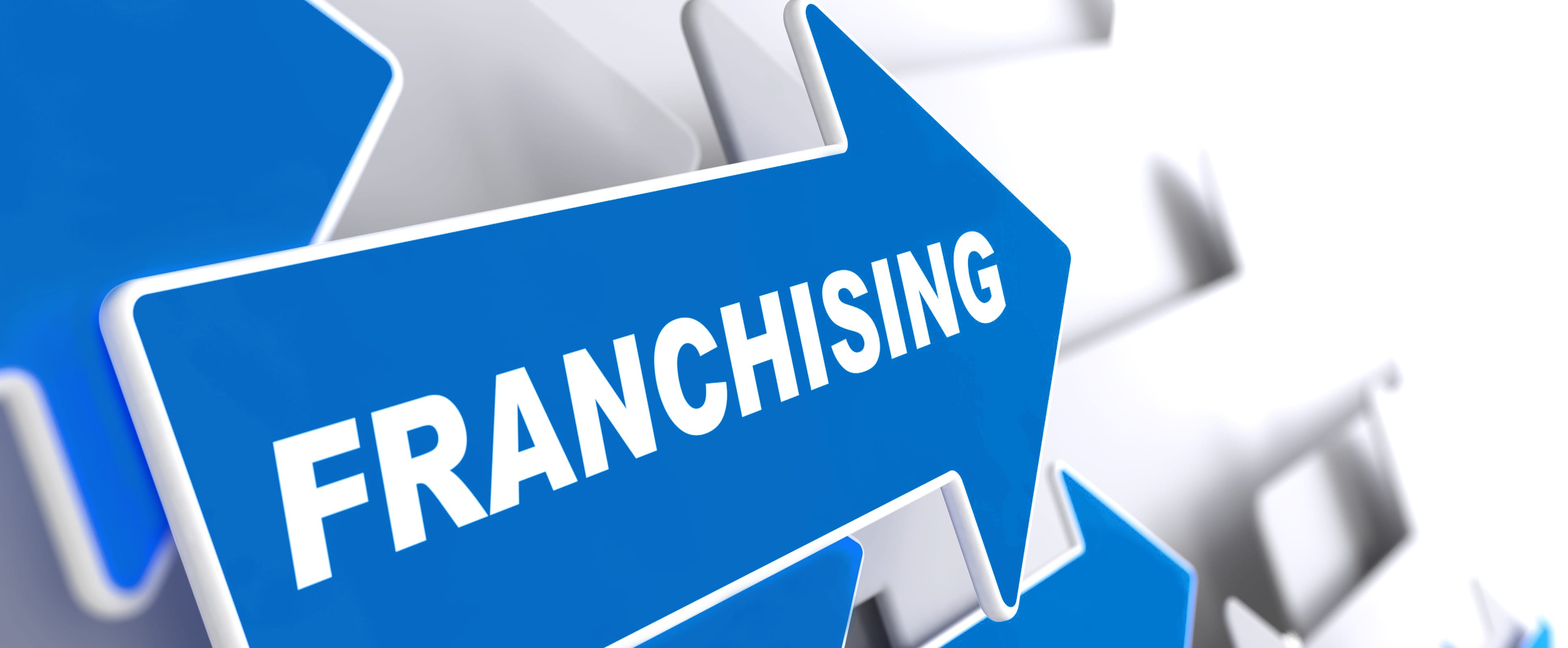 Start a Charge Point Franchise What Franchise