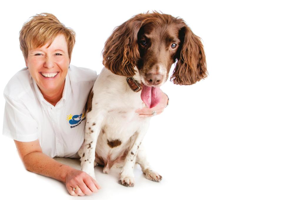 10 best pet franchises of 2021 10 best pet franchises of 2021