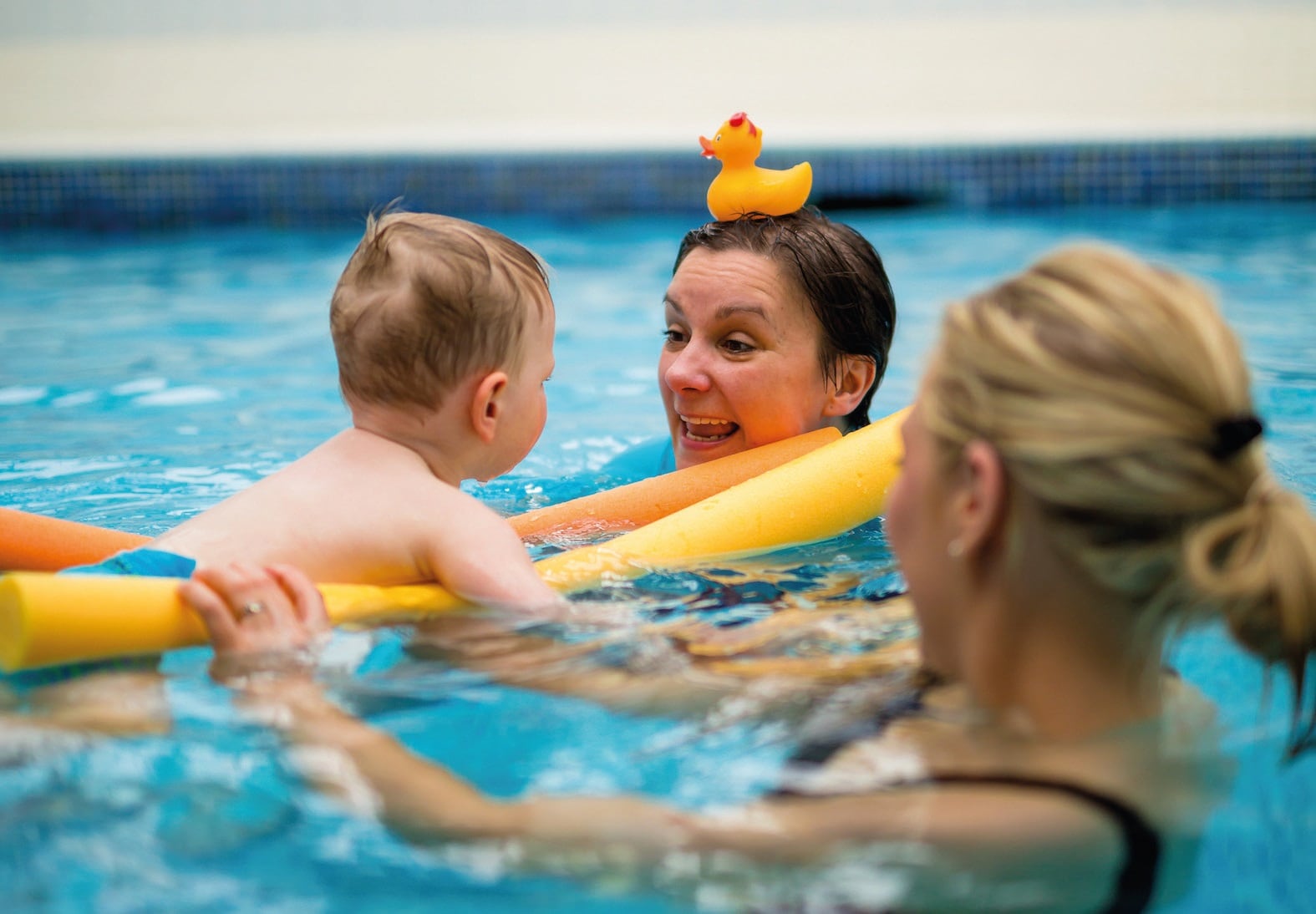 Puddle ducks swimming pool