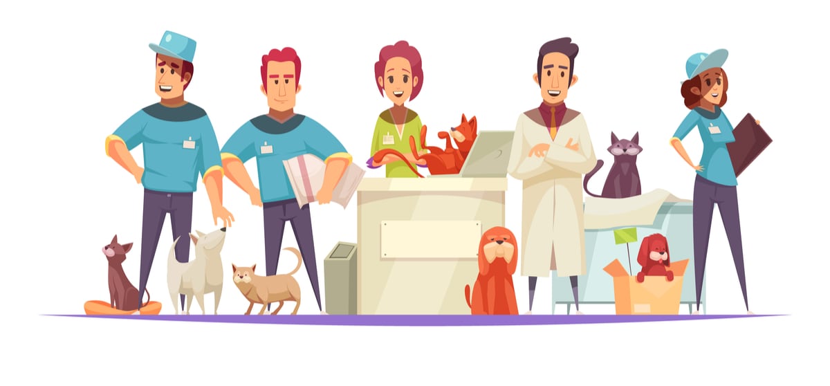 10 best pet franchises of 2021 10 best pet franchises of 2021